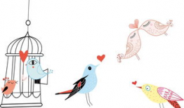 鸟笼漫画,揭示心理暗示的奇妙力量